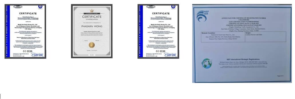 certificato di tergicristallo